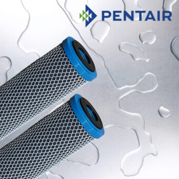 10" Pentek CFB-PB Heavy Metal Removal Filter
