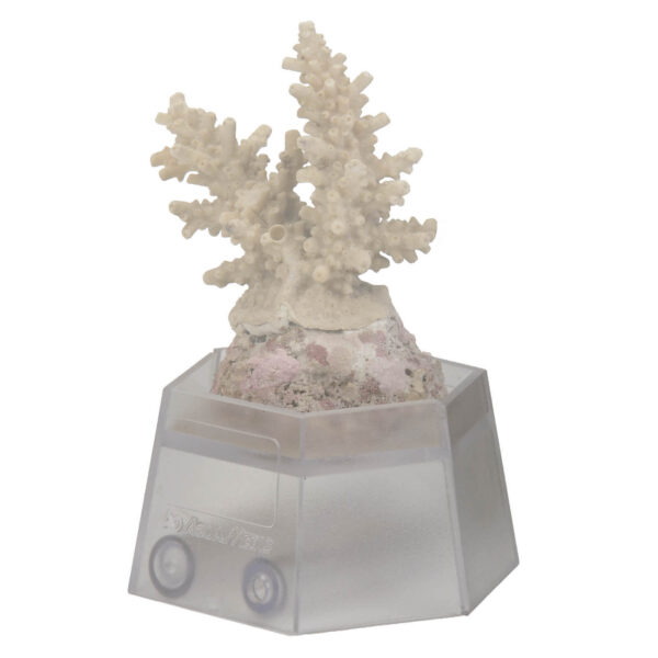 coral-holder-coral-frag-holder