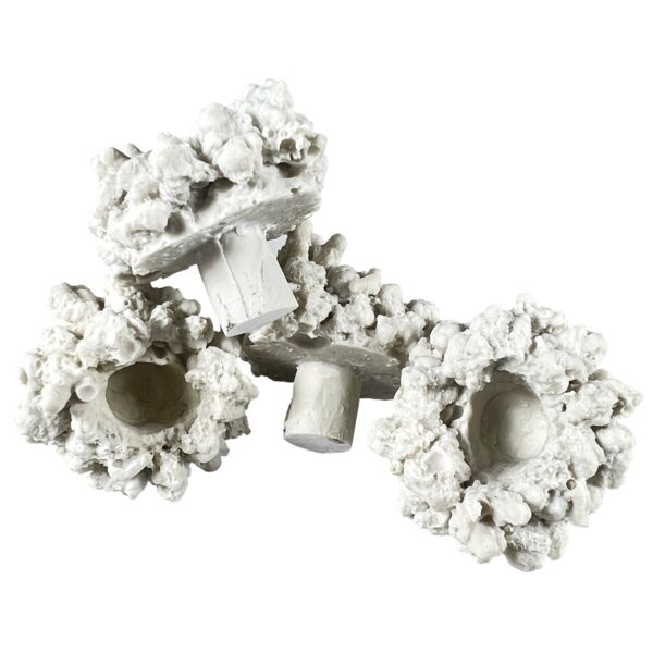 coral-pin-coral-frag-reef-pins